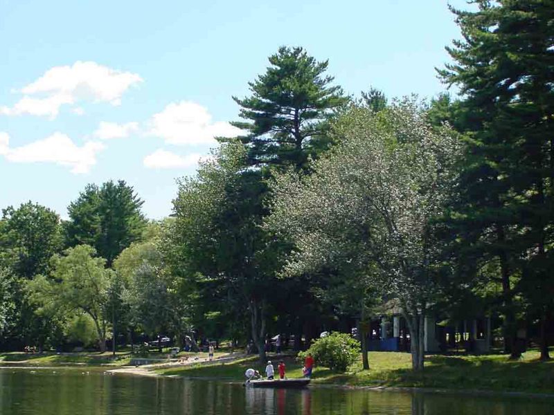 File:Recreation ForestLake.jpg